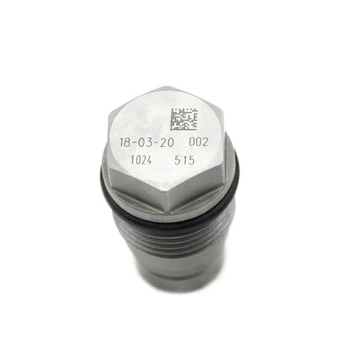Common Rail Basınç Tahliye Sınırlama Valfı Dizel Yakıt 1110010024