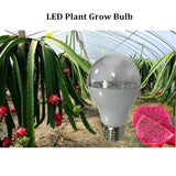A95 Pitaya 15W Tam Spektrum Hidroponik Büyüme Ampul Set